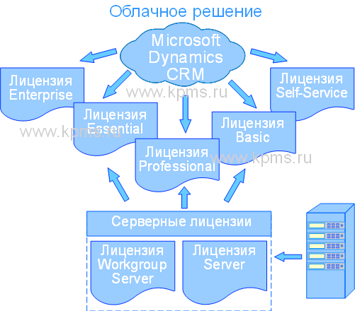 Лицензии Dinamics CRM