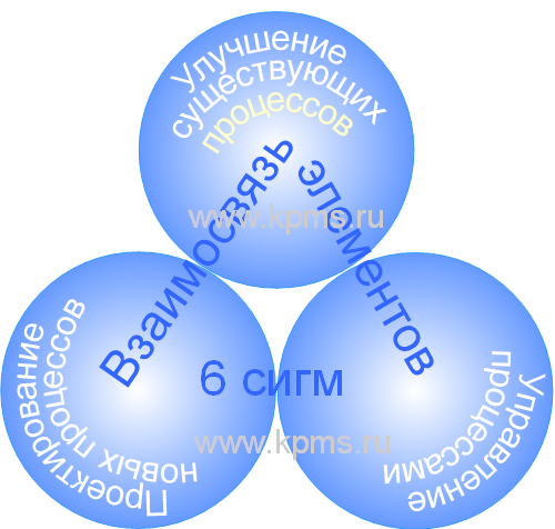 Сигма отделы. Система 6 сигм. 6 Элементов 6 сигм. Элементы процессов 6 сигм. Шесть сигм команда и роли.